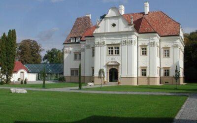Das Schloss Felsőbüki Nagy (Szapáry)
